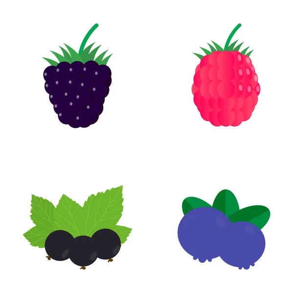 Set Aus Vier Beeren Vektorillustration — Stockvektor