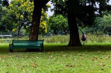 Arka planda çöp tenekesi ve bir ağacın altında oturma tezgahı olan geniş bir park alanı. Temizlik kavramı