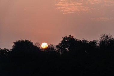 Kırmızı gökyüzü ve ağaçların siluetiyle altın saatinde yükselen güneşin görüntüsünü yakınlaştır