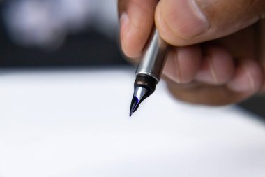 Hint usulü fırınlanmış sebzelerle süslenmiş tavuk fotoğrafçılığı.