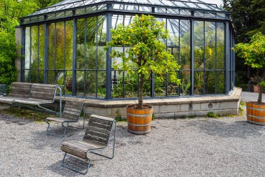 İsviçre, Zürih 'teki Botanik Bahçesi