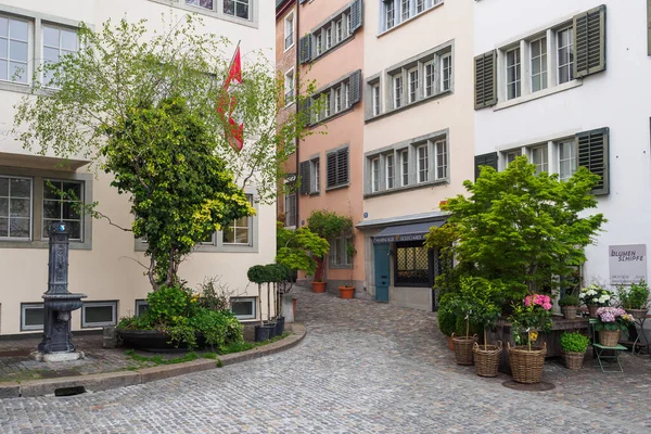瑞士苏黎世鹅卵石铺成的老街上的绿地 — 图库照片