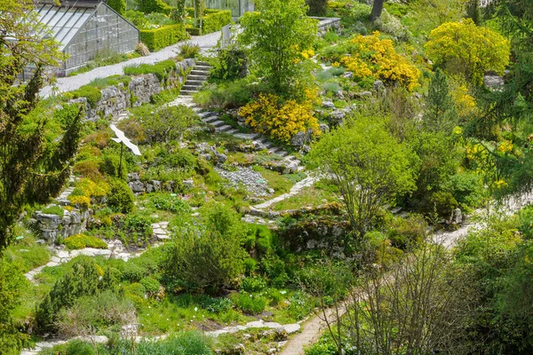 İsviçre, Bern 'deki Botanik Bahçesi