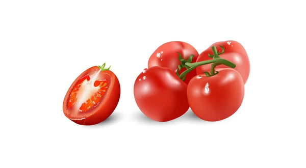 Tomate Cereja Fresco Vegetal Jardim Alimento Orgânico Tomate Vermelho Ramo — Vetor de Stock