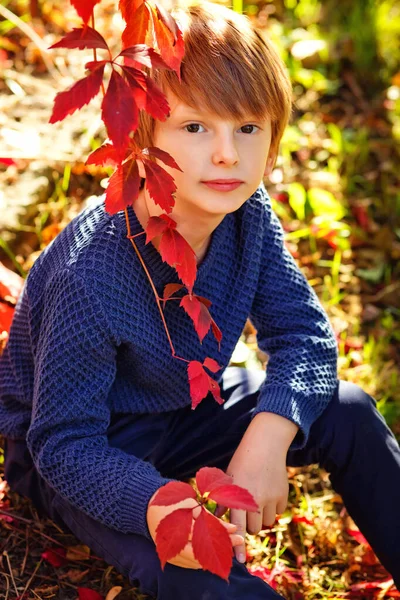 Ragazzo Dai Capelli Rossi Maglione Blu Sullo Sfondo Foglie Rosse — Foto Stock