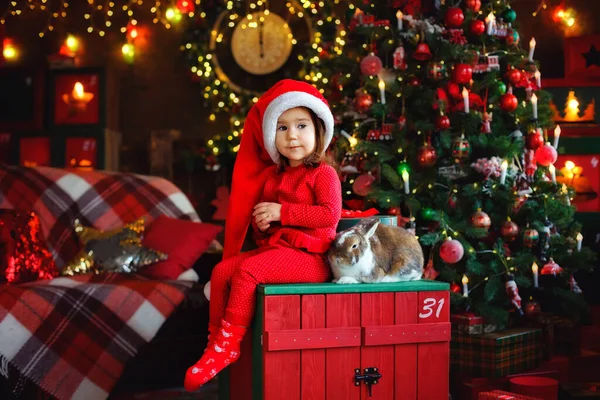 Ein Süßes Kleines Mädchen Mit Weihnachtsmütze Sitzt Neben Einem Hasen — Stockfoto