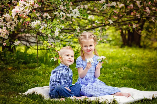 Bonito Crianças Menina Menino Sentado Grama Sob Macieira Jardim Florescendo — Fotografia de Stock
