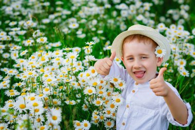 Papatya tarlasında şapkalı gülümseyen mavi gözlü çocuk, yakın plan portre. Baş parmakları gösterir.