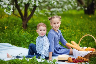 Çocuklar bahar bahçesinde pikniğin tadını çıkarırlar. Bir erkek ve bir kız yaz parkında eğlenceli bir öğle yemeği yiyorlar. Oğlan ve kız yerde meyve ve sandviç yerler..