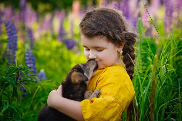 一个小女孩把一只牧羊犬抱在大自然中的田野里 背景是紫丁香花 温柔的爱一只宠物 亲吻一只小狗 — 图库照片