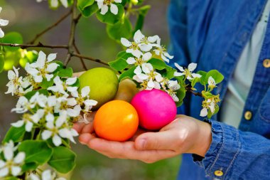 Paskalya yumurtası avındaki bir kız çiçek açan bahar bahçesinde ellerinde renkli yumurtalar tutuyor..