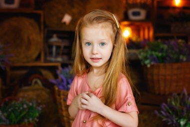 Güzel bir kız lavanta çiçeklerinin arasında samanlıkta oturur. Sarışın kız pembe bir tulum giymiş..