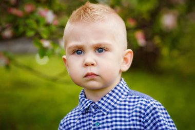 Çiçek açan beyaz elma ağacının yanında mavi gömlekli tatlı sarışın bir çocuk. Baharda bahçe tamamen çiçek açar..