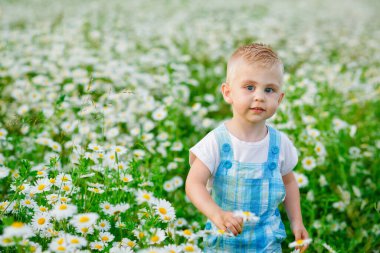 Yazın gün batımında bir tarlada papatya çiçekleri içinde güzel bir çocuk. Mavi gözlü ve sarı saçlı bir çocuk çiçekli bir çayırda duruyor papatya çiçekleriyle.