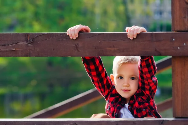 Retrato Niño Parque Cerca Una Barandilla Madera Chico Con Una — Foto de Stock