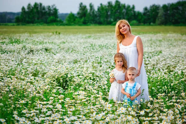 Mother Her Blonde Son Daughter Field Daisies Bloom Enjoy Fragrance — Stock Photo, Image