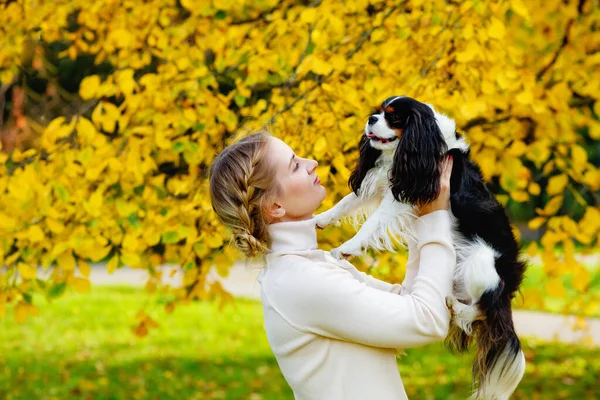 Chien Roi Charles Spaniel Propriétaire Promènent Automne Chaud Sur Fond — Photo