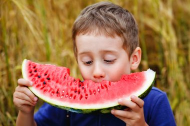 Bir çocuk yazın buğday tarlasında kırmızı bir karpuz yer. Doğada yaz pikniği. Mutlu çocukluk.