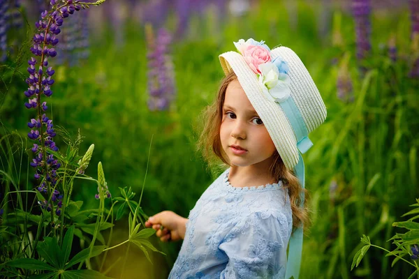 Una Hermosa Niña Con Vestido Sombrero Campo Altramuces Flores Altramuz — Foto de Stock