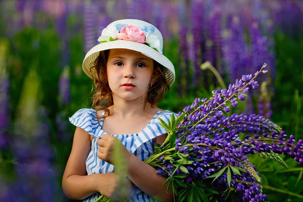 Hermosa Niña Vestido Sombrero Campo Altramuces Chica Sostiene Gran Ramo — Foto de Stock