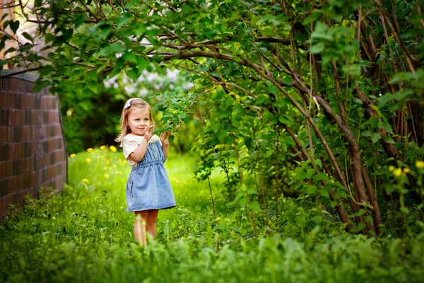 Porträt Eines Kleinen Mädchens Blauer Dress Das Park Auf Dem — Stockfoto