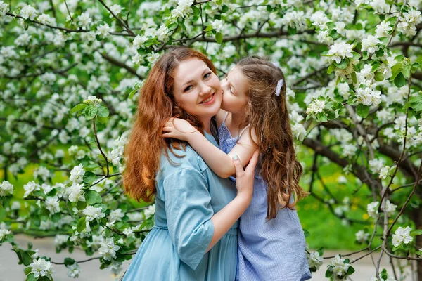 Мать Маленькая Дочь Обнимают Целуют Друг Друга Ходят Цветущем Яблоневом — стоковое фото