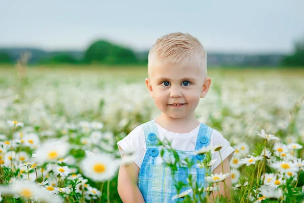 Bambino Felice Trova Prato Fiori Margherita Selvatici Tenero Bambino Sorridente — Foto Stock