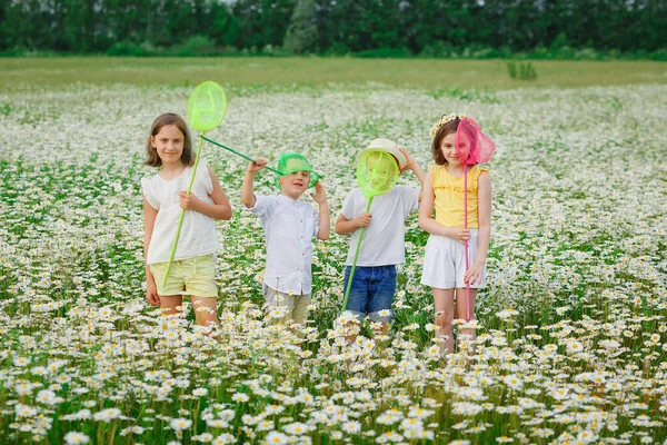 Glückliche Kinder Auf Einer Blühenden Gänseblümchenwiese Mit Schmetterlingsnetzen — Stockfoto