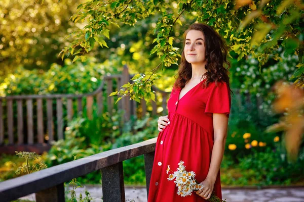 Güzel Kırmızı Elbiseli Elinde Papatya Buketi Olan Hamile Bir Kadın — Stok fotoğraf