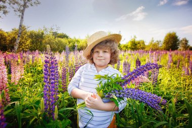 Mavi leylak çiçeklerinin arasındaki tarlada altın kıvırcık saçlı ve hasır şapkalı bir çocuk. Parlak güneşli bir günde, çiçek açan lupin çayırında bir buket toplar..