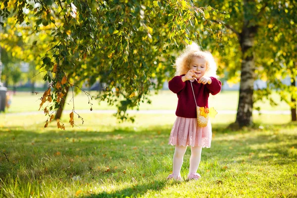 阳光灿烂的一天 一个身穿勃艮第毛衣 卷曲白发的小女孩在公园里散步 — 图库照片