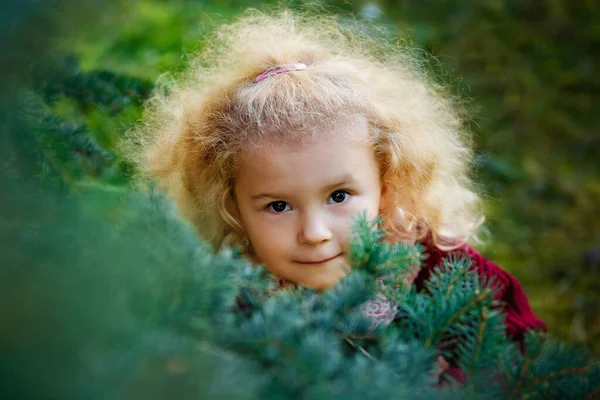 Malá Kudrnatá Holčička Schovává Zahradě Zeleným Vánočním Stromečkem Dítě Hraje — Stock fotografie