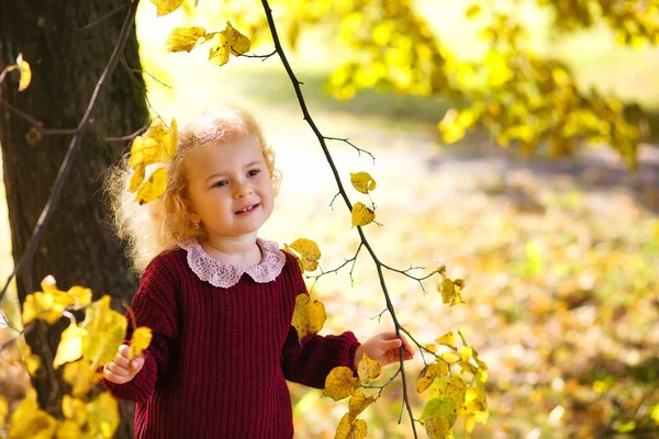 一个金发碧眼的金发小女孩穿着一件黄叶中的勃艮第毛衣 秋天阳光明媚的公园里的孩子紧紧抓住树枝 — 图库照片