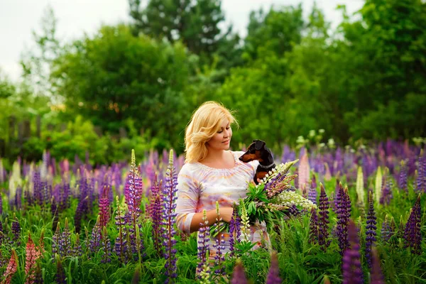 Dog and women concept - Young plump women hug and kiss their beautiful dog in pink and purple flower fields at sunset.