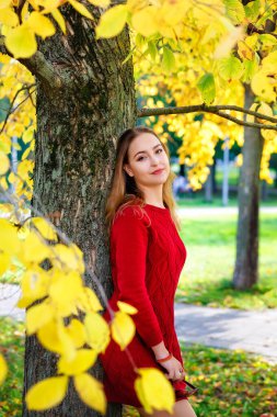 Seçici odaklanma. Sonbahar ormanlarında sarı yaprakların arasında kırmızı örülü bir elbise giyen güzel bir kadın. Bayan bir ağaca yaslanıyor..