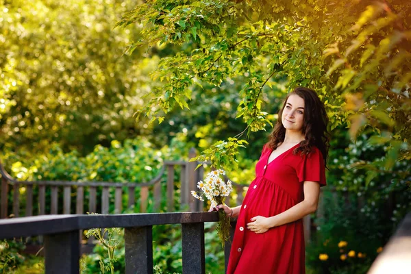 Una Giovane Donna Incinta Bellissimo Vestito Rosso Con Mazzo Margherite — Foto Stock