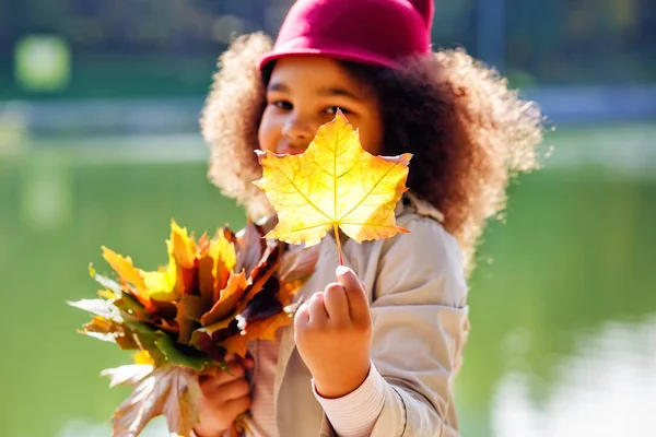 Retrato Una Niña Afroamericana Parque Con Ramo Hojas Otoño Fondo —  Fotos de Stock