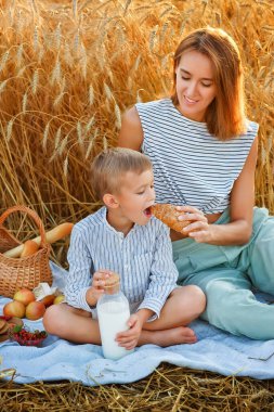 Buğday tarlasında bir piknikte battaniyenin üzerinde oturan güzel bir anne ve oğlun portresi. Anne oğluna kruvasan yedirir, çocuk süt içer. Doğada gün batımı ailede.