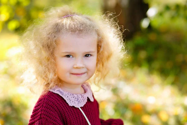 Grande Ritratto Una Piccola Ragazza Bionda Maglione Bordeaux Parco Soleggiato — Foto Stock