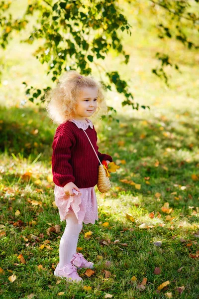 一个孩子在秋天的公园里秋天 一个穿着勃艮第毛衣和衣服的金发卷发女孩在一个阳光灿烂的公园里散步 — 图库照片