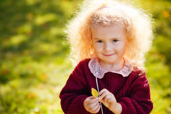 在一个阳光明媚的秋日 公园里一个穿着勃艮第毛衣的金发小女孩的大画像 一个黄叶的孩子 — 图库照片