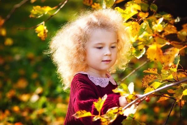 Een Kind Natuur Herfst Een Blond Meisje Met Een Weelderig — Stockfoto