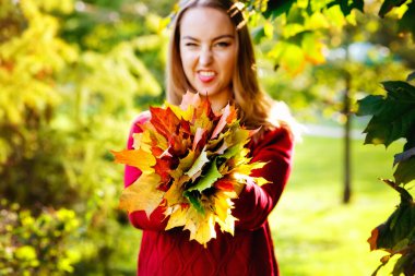 Seçici odaklanma. Sonbahar parkında, kırmızı kazaklı, sarı yapraklı güzel bir genç kadının portresi. Sevimli beyaz kadın yürürken gülümseyip kameraya bakıyor.