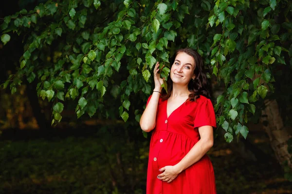 Yeşil Yaprakların Yanında Kırmızı Elbiseli Hamile Bir Kız Doğada Güzel — Stok fotoğraf