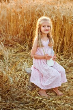 Gün batımında bir kız tahıl tarlasında oturuyor. Buğday arka planında elbise giymiş mutlu bir sarışın elinde bir şişe süt tutuyor..