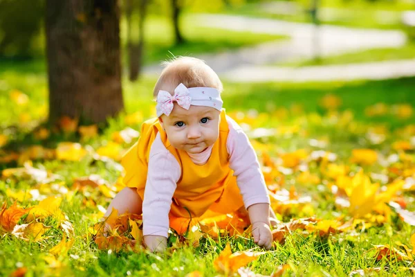 秋天的时候 一个嬉闹的小女孩在户外玩耍 一个穿着黄色衣服头戴绷带的小女孩正试图从地上站起来 初步步骤 — 图库照片