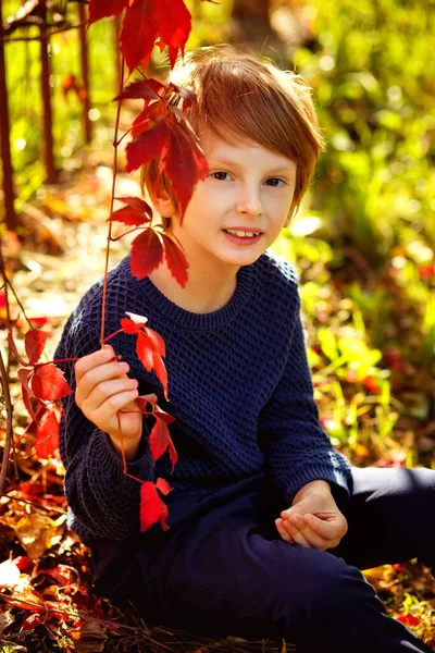 Ragazzo Con Maglione Blu Trova Vicino Una Recinzione Intessuta Uva — Foto Stock