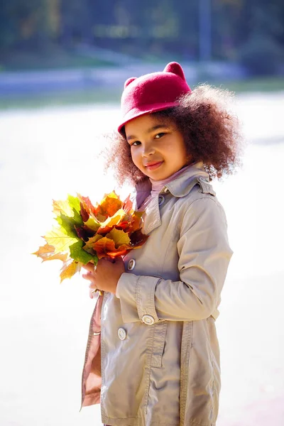 一个非洲裔美国女孩在湖畔的公园里的画像 公园里有一束秋叶 — 图库照片