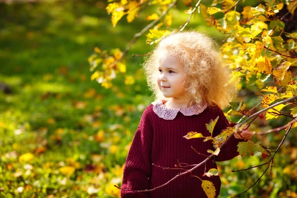 秋天的大自然中的一个孩子 一个金发碧眼 头戴红色毛衣的女孩看着树上的树叶 — 图库照片