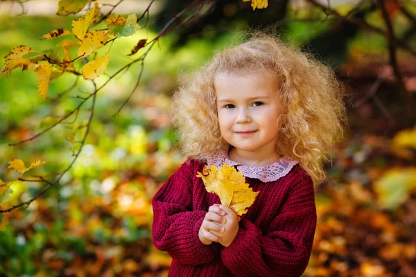 在秋天的公园里 一个长着巨大的黄色枫叶的小女孩 — 图库照片